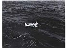 MANY STERLET CREW MEMBERS HAVE ASPIRED TO GREATNESS AUTHORS  ARTISTS. MOVIES  OTHER MONUMENTAL CAREERS-submarine command 5